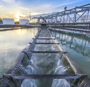 Water purifying plant